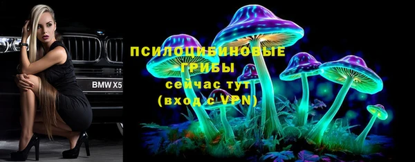 стаф Гусь-Хрустальный