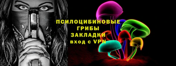 твердый Горнозаводск