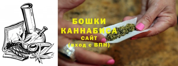 твердый Горнозаводск
