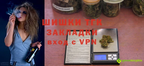 стаф Гусь-Хрустальный