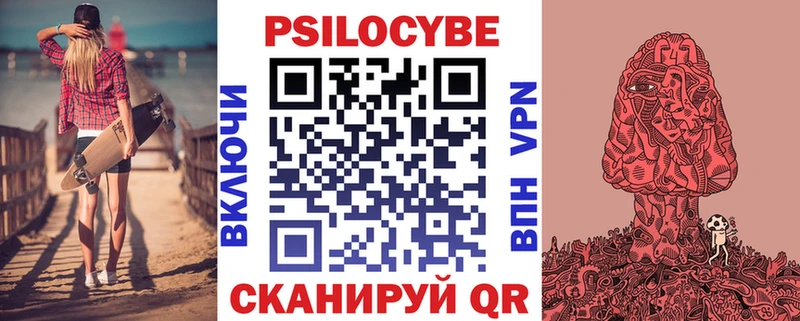 Галлюциногенные грибы Psilocybine cubensis  Купить где  Ладушкин 