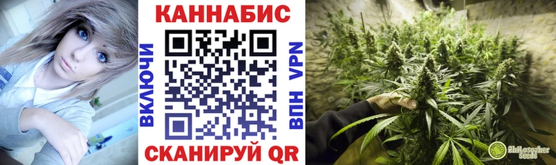 Каннабис планчик  Купить  Ладушкин 
